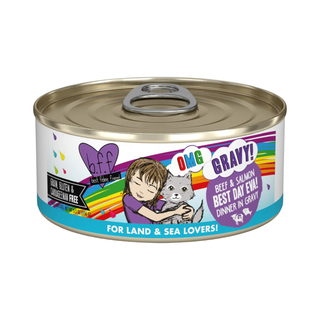 BFF Weruva OMG Best Day Eva Beef & Salmon Cat Canned