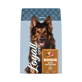 Loyall Life Grain Free All Life Stages Beef with Sweet Potato Recipe Dry Dog Food