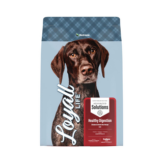 Nutrena Loyall Life Advanced Solutions Healthy Digestion – Chicken & Brown Rice