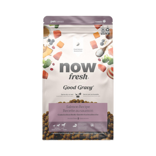 Petcurean NOW Fresh Dog Dry Good Gravy Adult Salmon w/ Ancient Grains