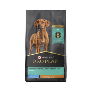 Pro Plan Chicken & Rice Under Two Year Large Breed Puppy Dry Dog Food