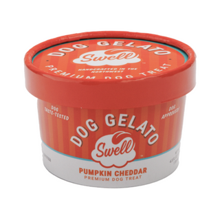 Swell Gelato Dog Treat Frozen Pumpkin Cheddar