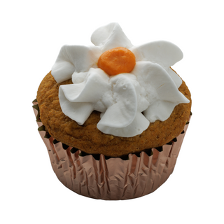 Swell Gelato Dog Treat Frozen Pumpkin Pupcake