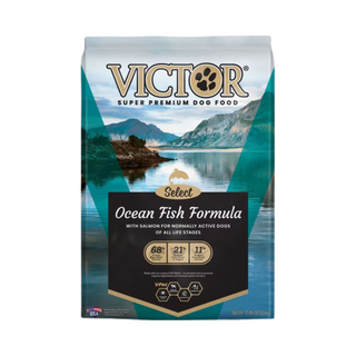 Victor Select Ocean Fish with Salmon Dry Dog Food