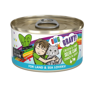 BFF Weruva Selfie Cam Chicken & Lamb Cat Canned