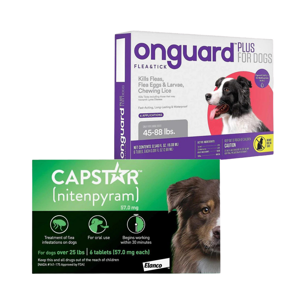 Onguard flea and 2024 tick for dogs