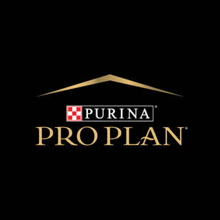 Pro Plan