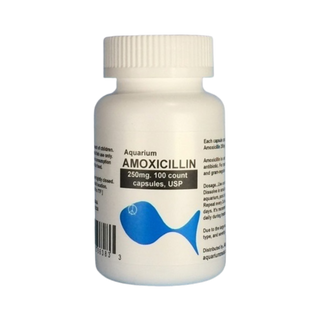 Fish Mox - Amoxicillin