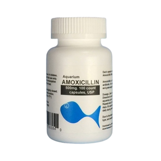 Fish Mox - Amoxicillin