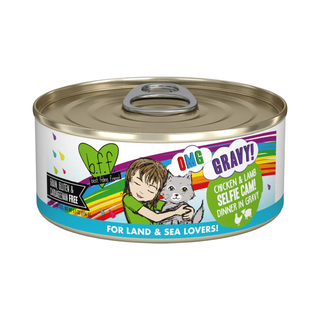 BFF Weruva Selfie Cam Chicken & Lamb Cat Canned