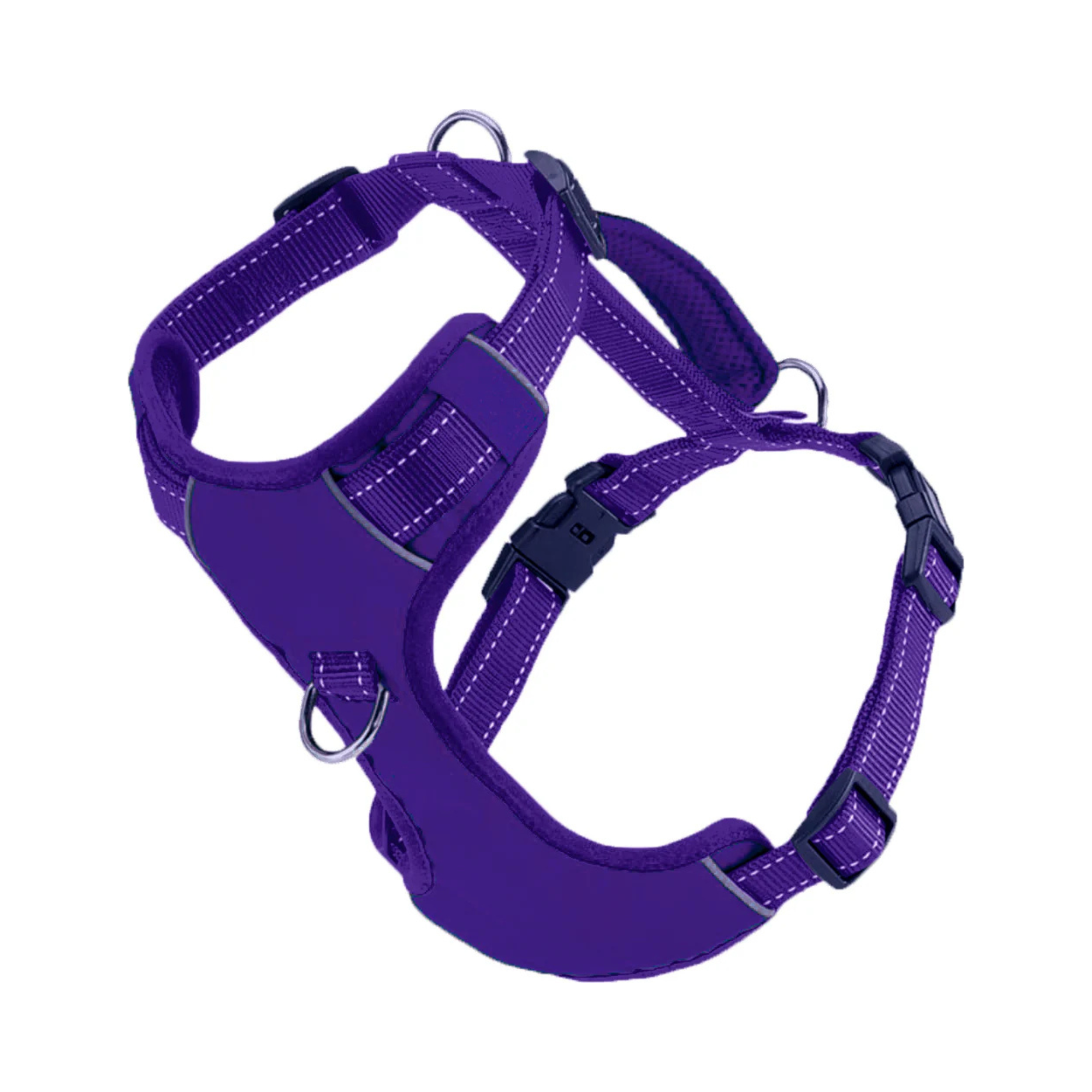 BayDog Chesapeake Harness- Purple