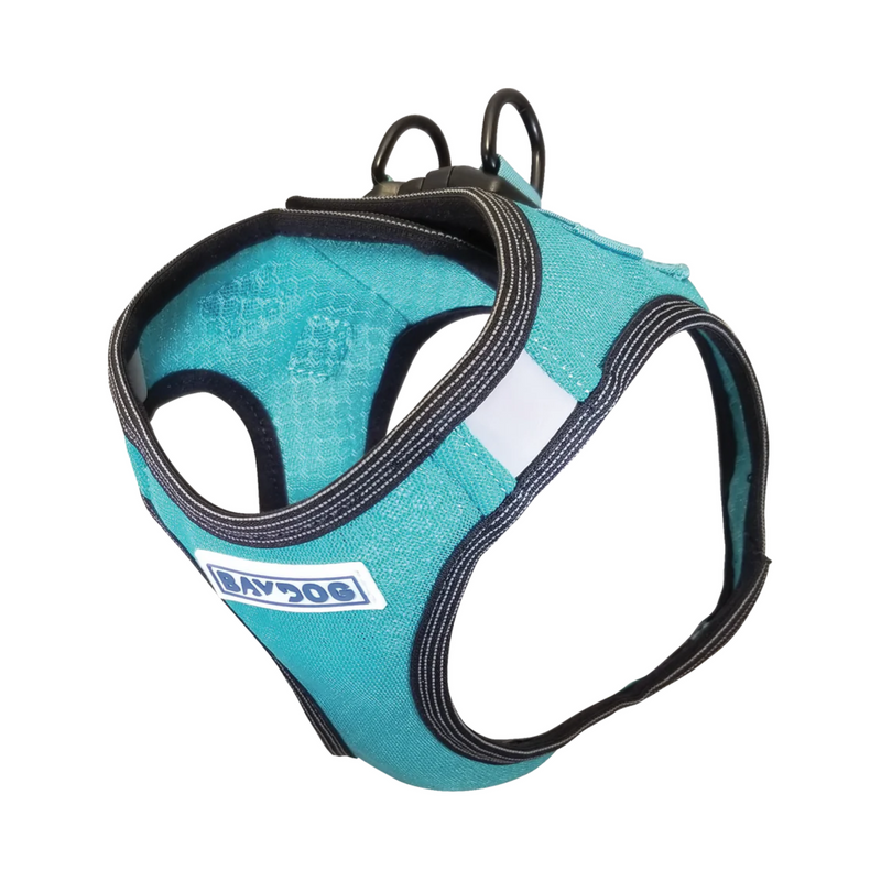 BayDog Liberty Bay Harness-Teal