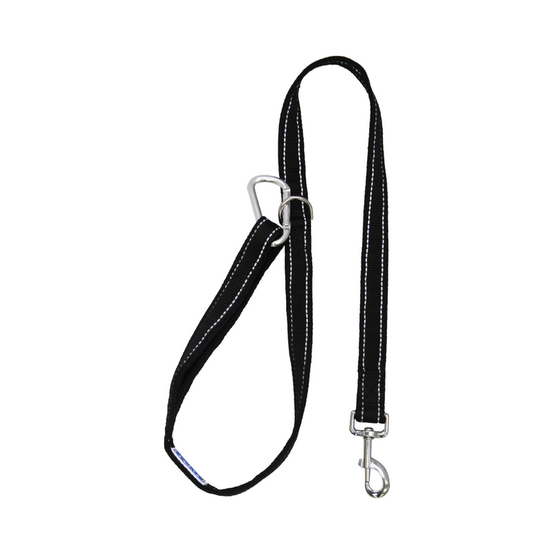 BayDog Hudson Leash