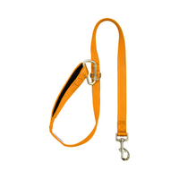 BayDog Hudson Leash