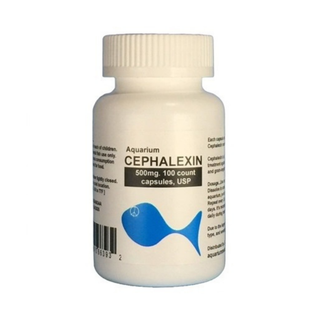Fish Ceph - Cephalexin