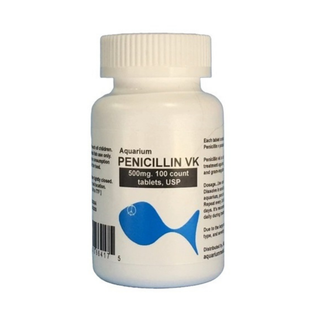 Fish Pen - Penicillin