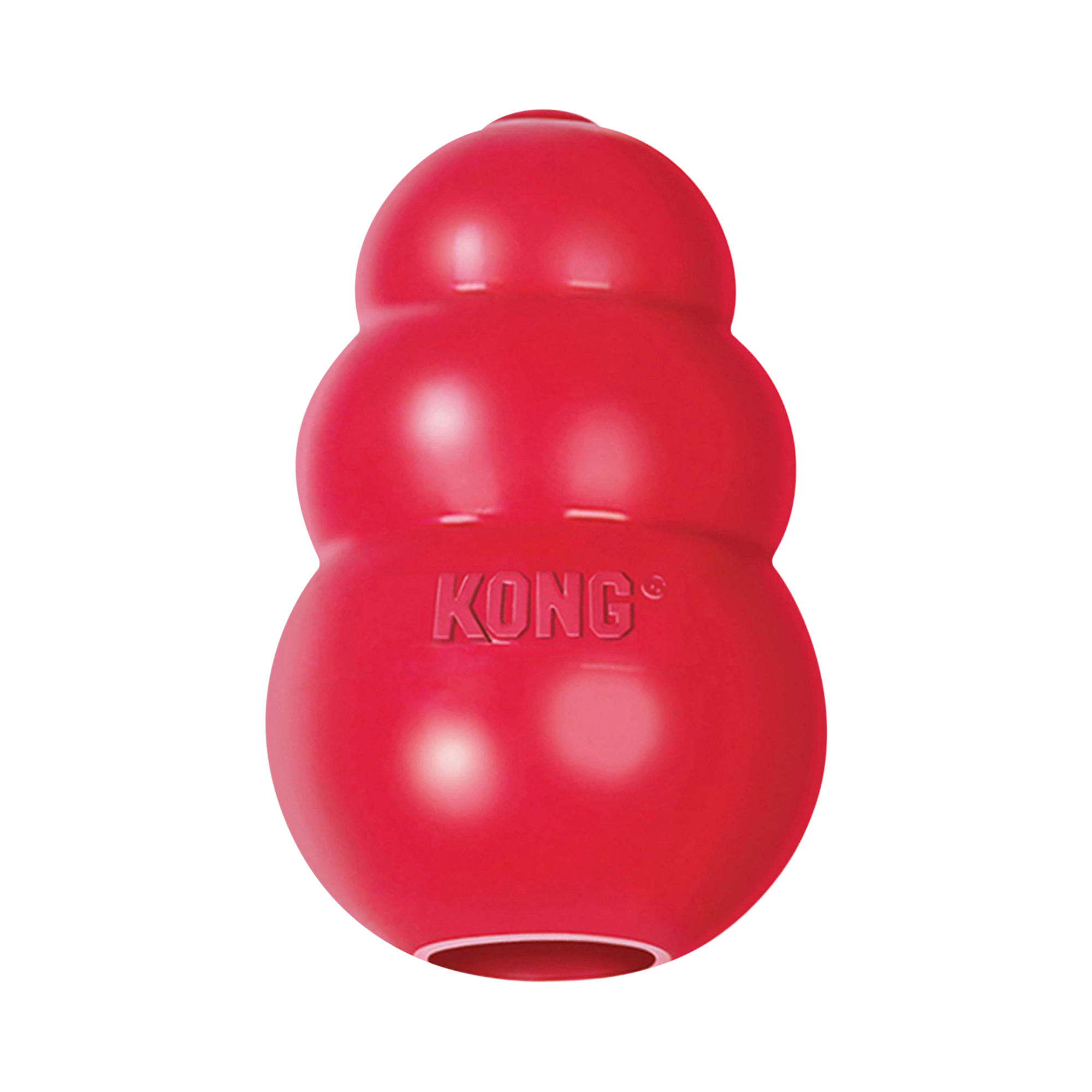 Kong Classic Dog Toy
