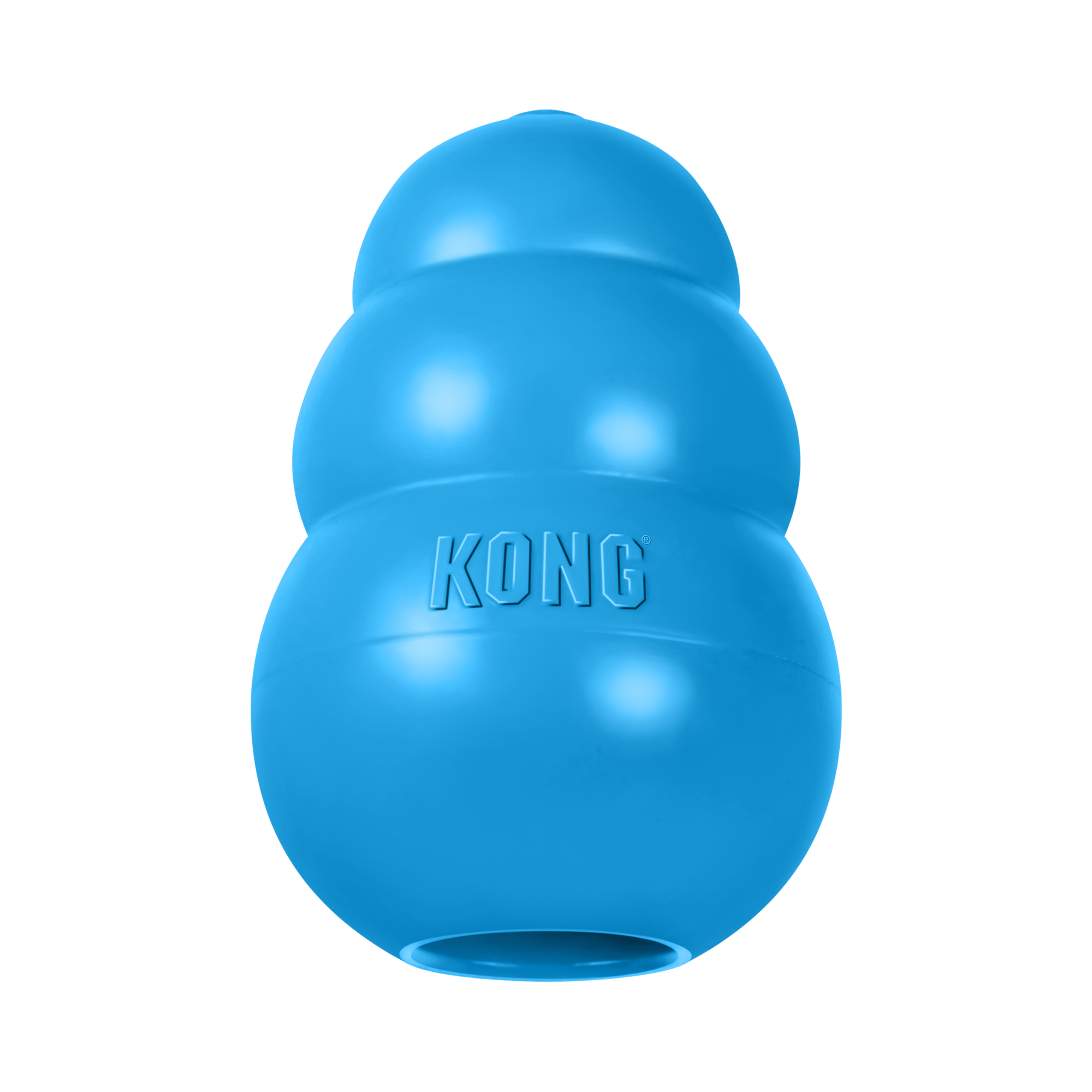 Kong Puppy