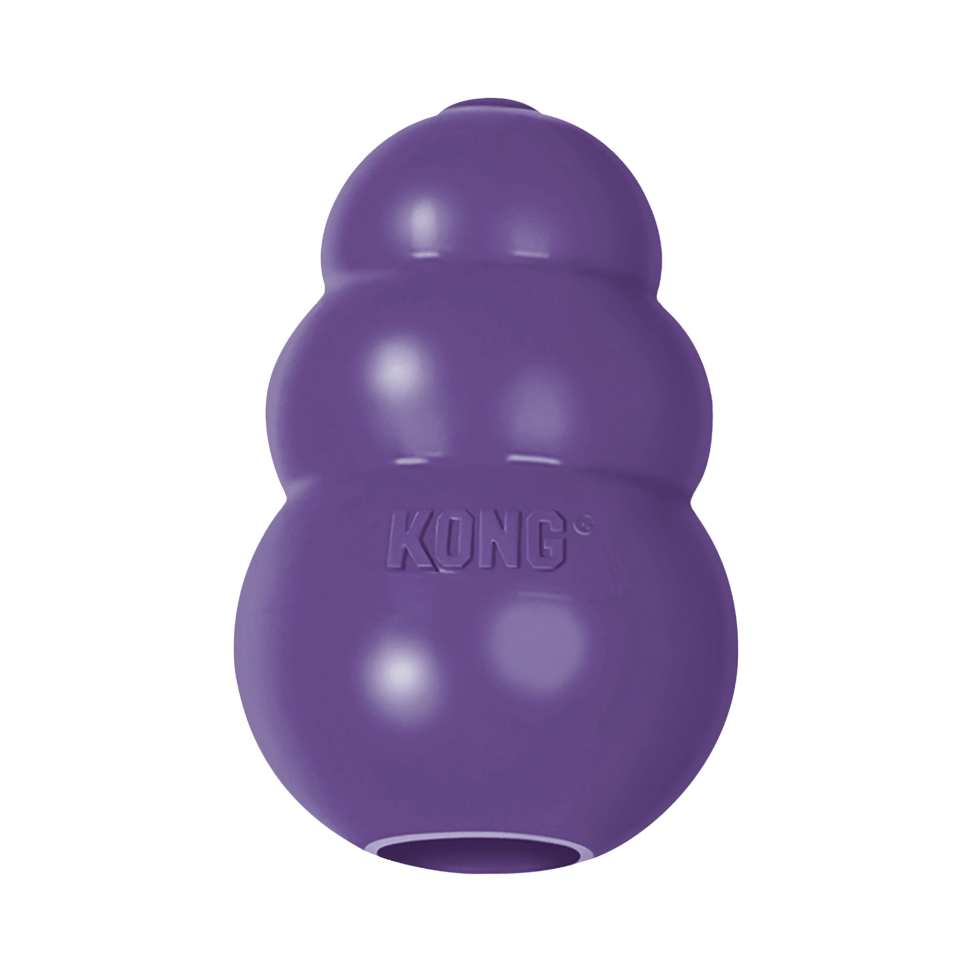 Kong Senior