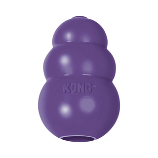 Kong Senior