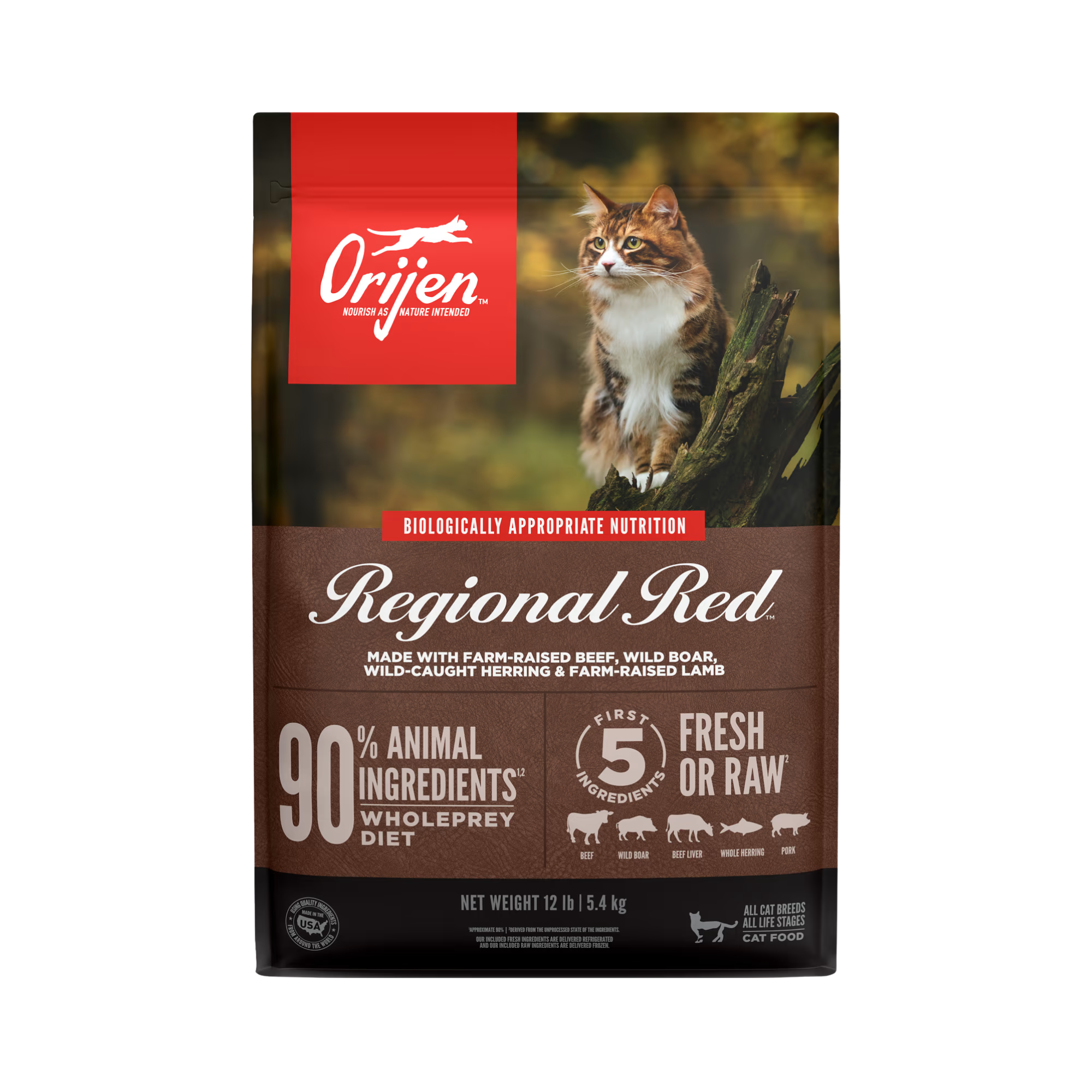Orijen Regional Red Dry Cat Food