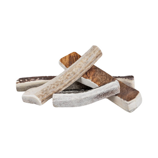 Primal Antlers Dog Chew