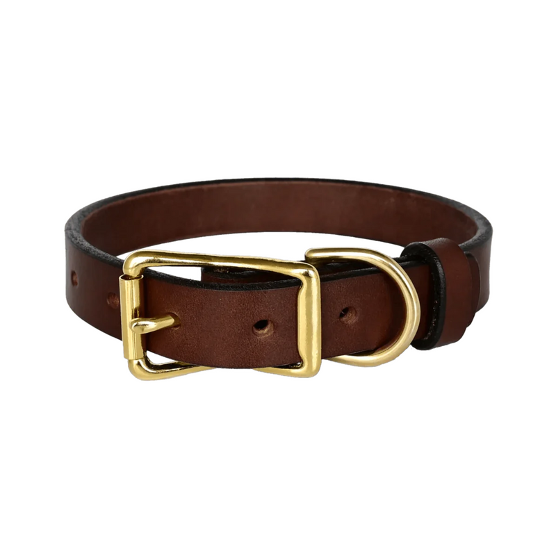 Leather Dog Collar