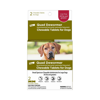 Bayer Quad Dewormer Chewable Tablets For Dogs