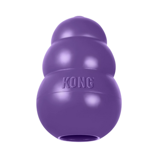 Kong Senior