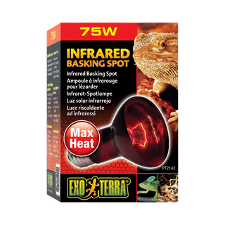 Exo Terra Infrared Basking Spot Lamp 75 watt