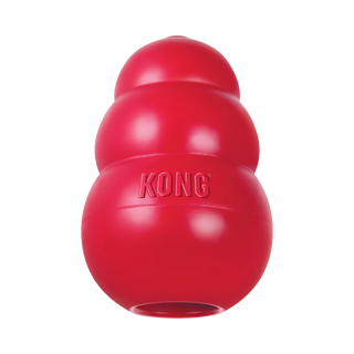 Kong Classic Dog Toy