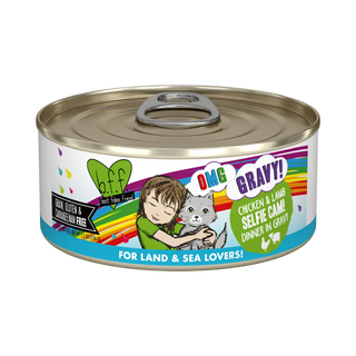 BFF Weruva Selfie Cam Chicken & Lamb Wet Cat Food