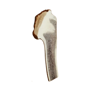 Canophera Red Deer Split Antler