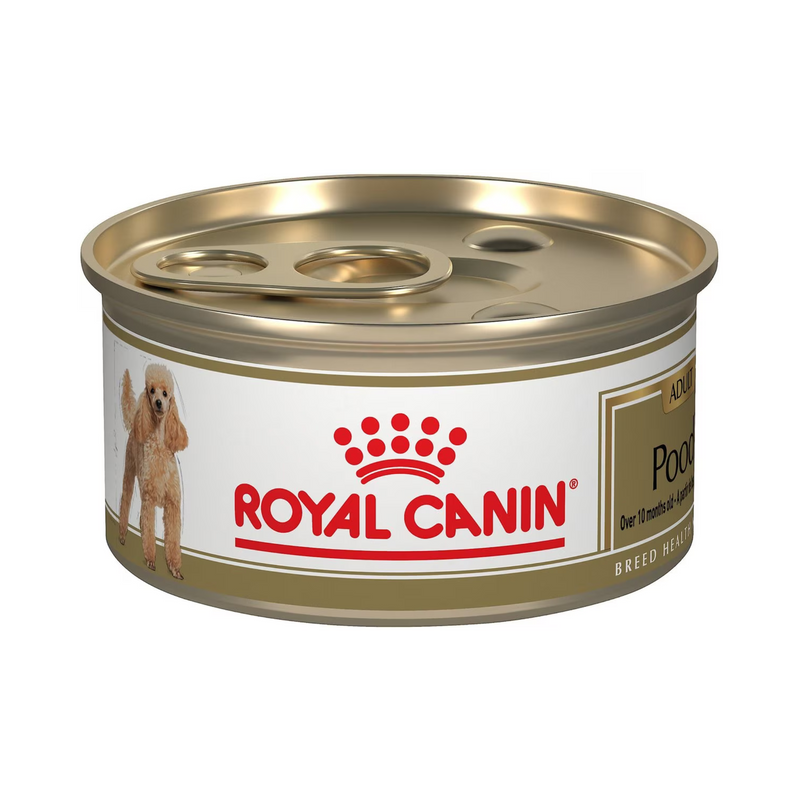 Royal Canin Breed Health Nutrition Poodle Adult Loaf in Sauce Canned Dog Food