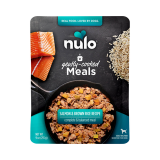 Nulo Gently-Cooked Meal Salmon & Brown Rice Wet Dog Food