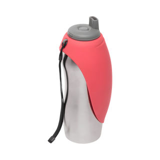 Messy Mutt Travel Water Bottle & Bowl