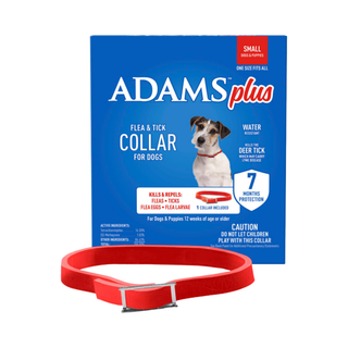 Adam's Flea & Tick Collar for Dogs