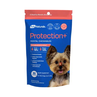 Ark Naturals Protection Plus Brushless Toothpaste