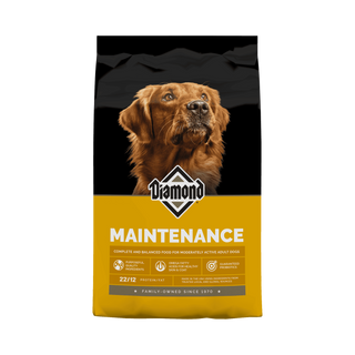 Diamond Maintenance Dry Dog Food