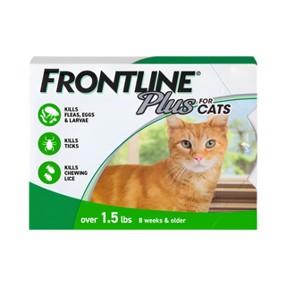 Frontline Plus Cats & Kittens
