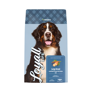 Nutrena Loyall Life Lamb & Rice Dry Dog Food