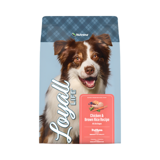 Nutrena Loyall Life Chicken & Brown Rice Dry Dog Food