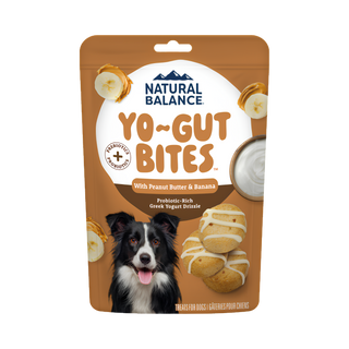 Natural Balance Yo-Gut Bites with Peanut Butter & Banana Dog Treat