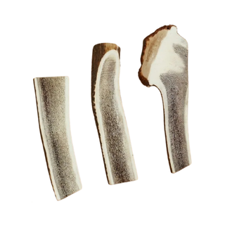 Canophera Red Deer Split Antler