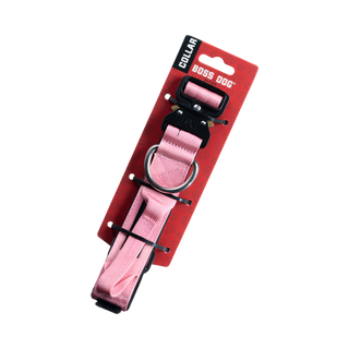 Boss Nation Pink Dog Collar