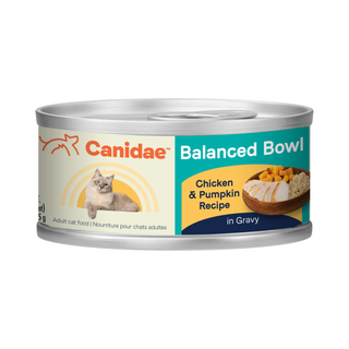 Canidae Chicken & Pumpkin Wet Cat Food