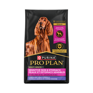 Pro Plan Lamb & Oatmeal Sensitive Skin & Stomach Adult Dry Dog Food