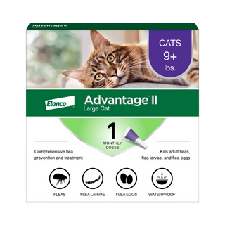 Advantage II Flea Treatment For Cats