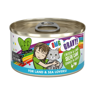 BFF Weruva Selfie Cam Chicken & Lamb Wet Cat Food