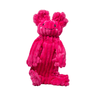 Hugglehounds Dog Toy Rope X-Brace Axolotl